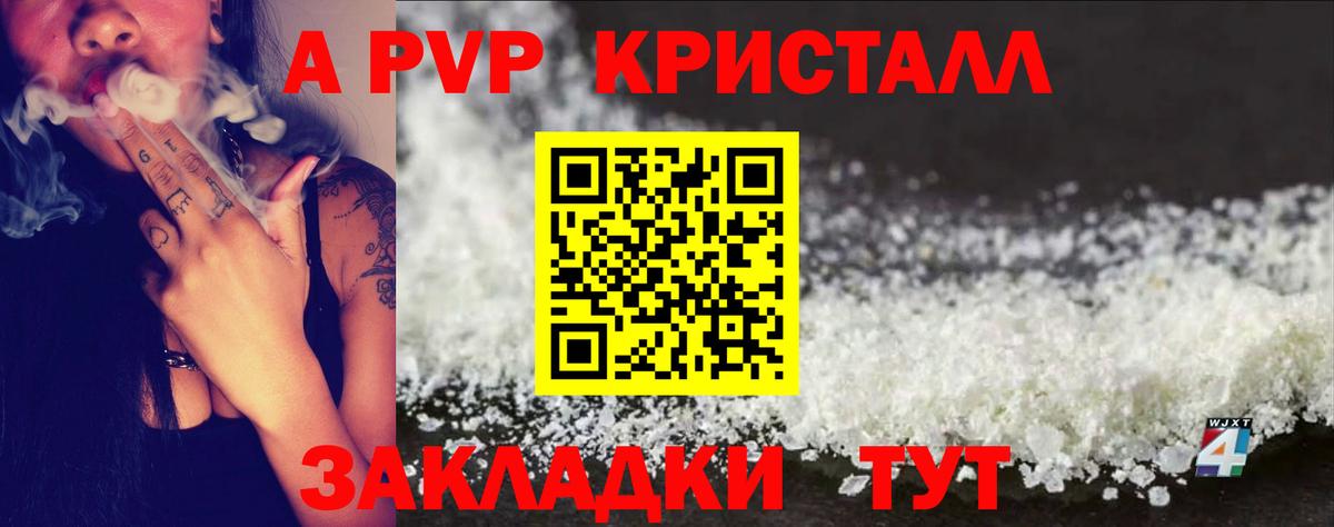A PVP СК КРИС  Alfa_PVP крисы CK  Альфа ПВП СК  Вход с VPN  Северск 