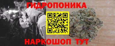 скорость Пугачёв