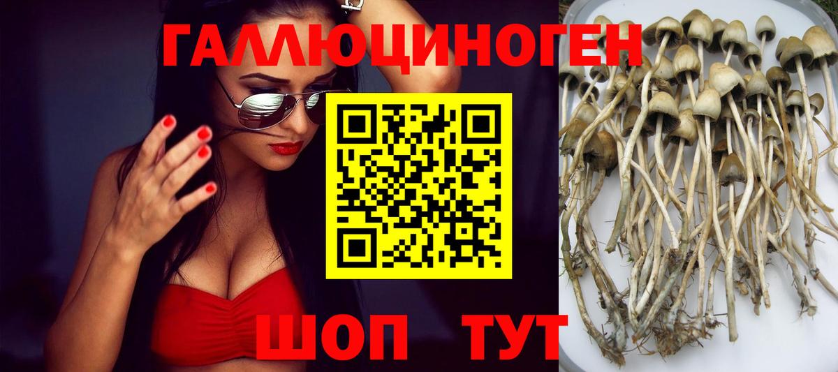 Галлюциногенные грибы ЛСД Северск